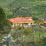 Della Mimosa 3*