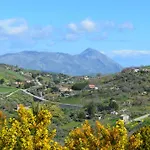 Della Mimosa