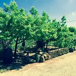 Della Mimosa Oda ve Kahvaltı