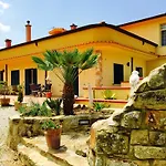 Della Mimosa