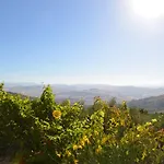 Della Mimosa Oda ve Kahvaltı 3*