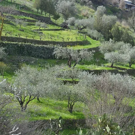 Della Mimosa 3*