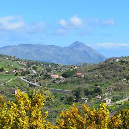 Della Mimosa