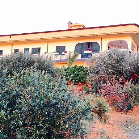 Della Mimosa 3*
