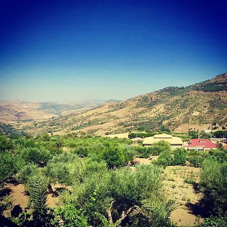 Bed and breakfast Della Mimosa 3*