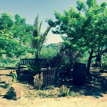 Della Mimosa 3*