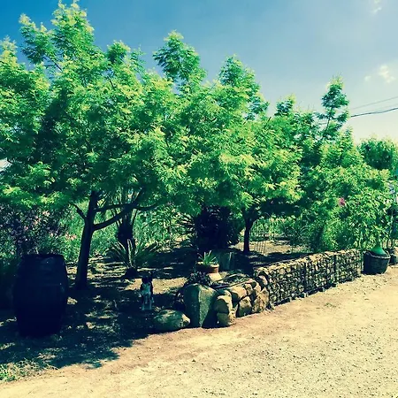Della Mimosa B&B