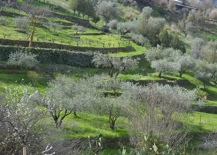 Della Mimosa 3*