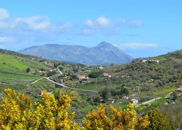 Della Mimosa